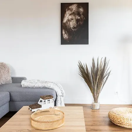 A - Safari Κλερμόν Φεράν