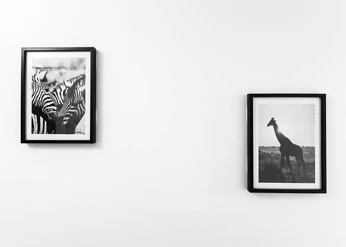 Apartment A - Safari