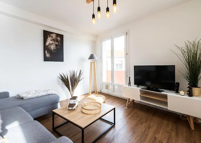 A - Safari Apartment Clermont-Ferrand