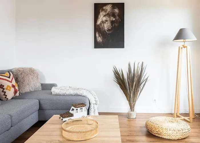 A - Safari Clermont-Ferrand