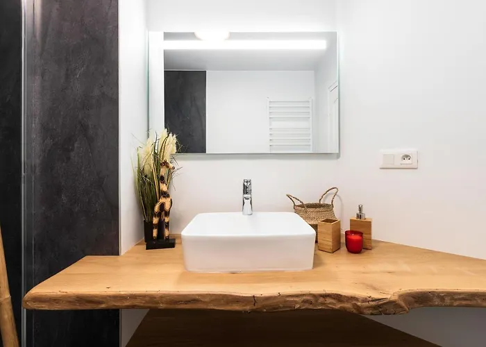 A - Safari Clermont-Ferrand