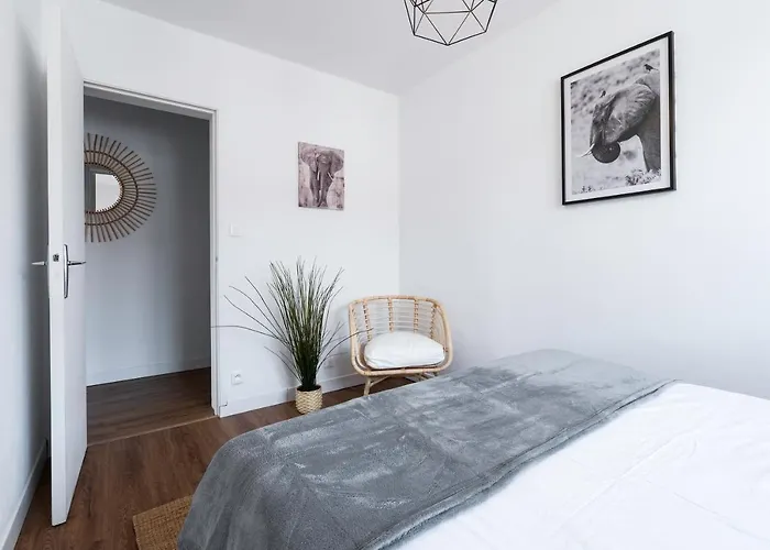 A - Safari * Clermont-Ferrand